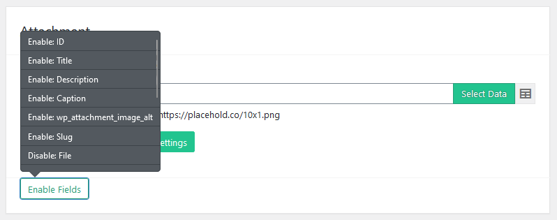 Import WP attachment importer with hidden fields revealed via Enable Fields